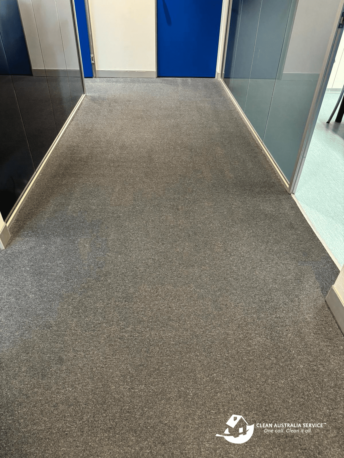 Importance of Regular Carpet Steam Cleaning