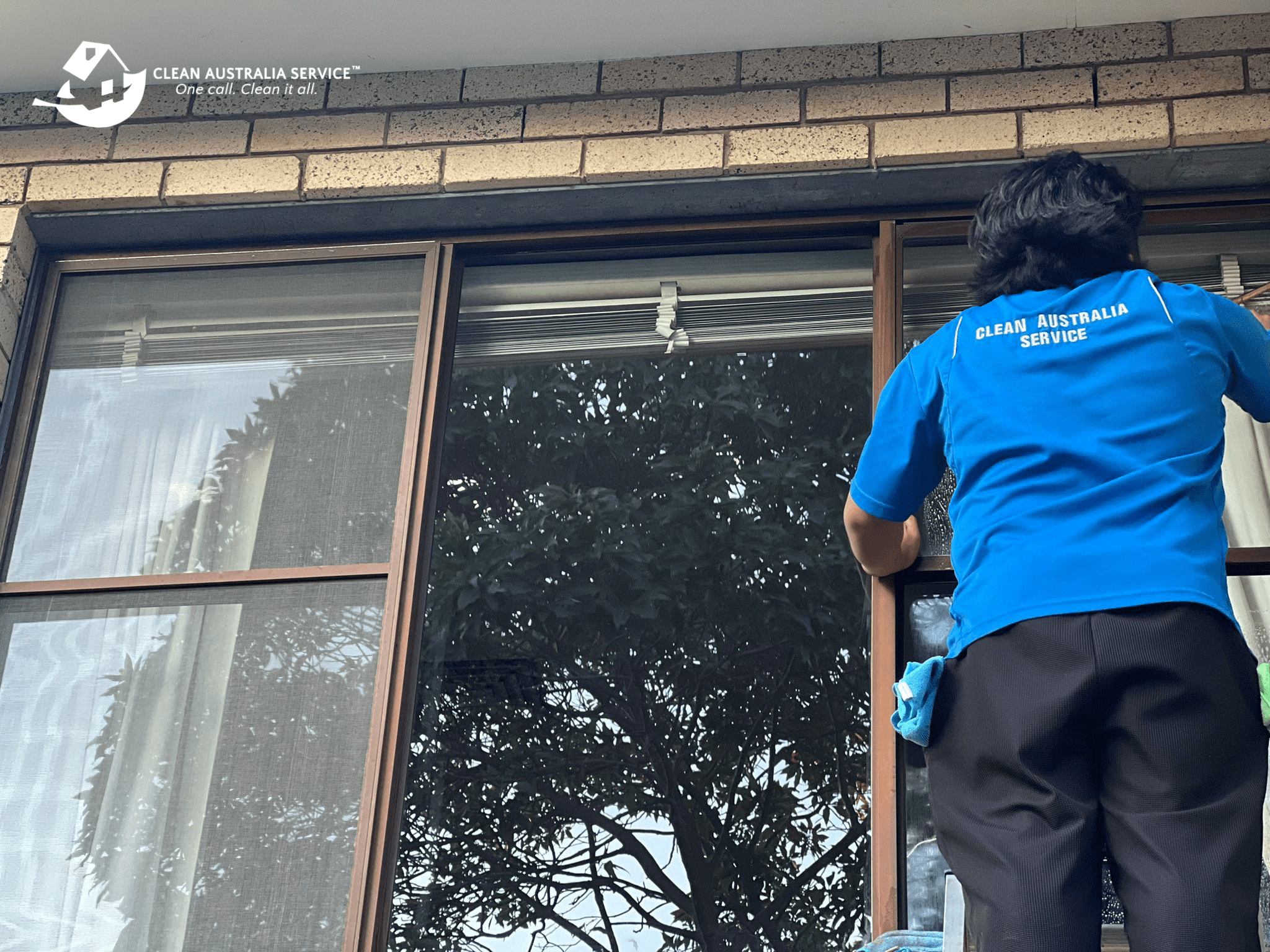 professional regular window cleaning